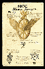 WHEELOFFOELAGINADECK.GIF (2193 bytes)