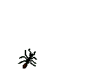 insekt.gif (8258 bytes)